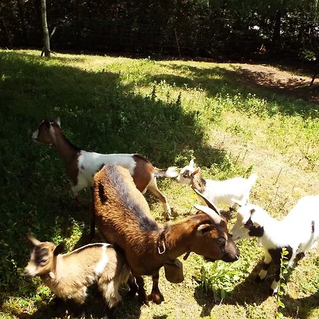 La Riguera De Ucieda