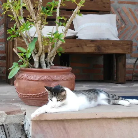 La Riguera De Appartamento Ucieda