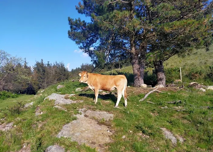 La Riguera De Appartement *