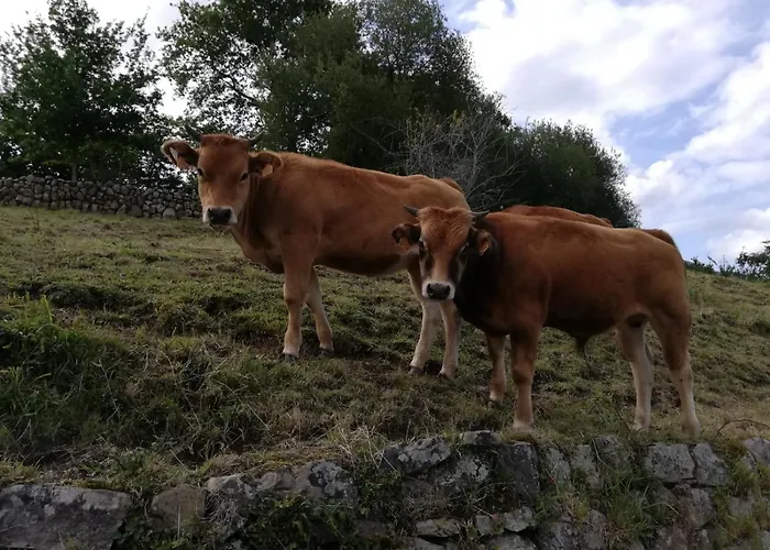 Apartament La Riguera De