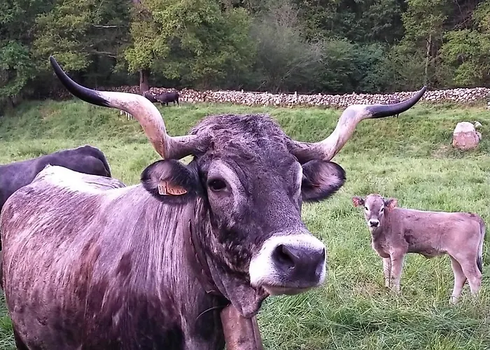 La Riguera De * Ucieda