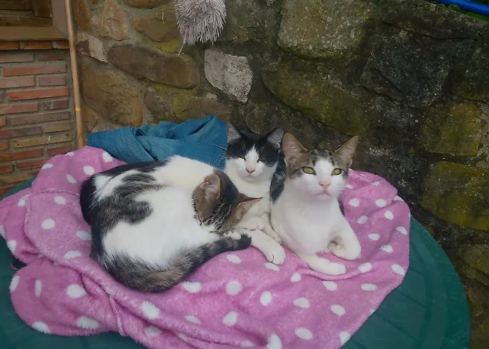 La Riguera De * Ucieda