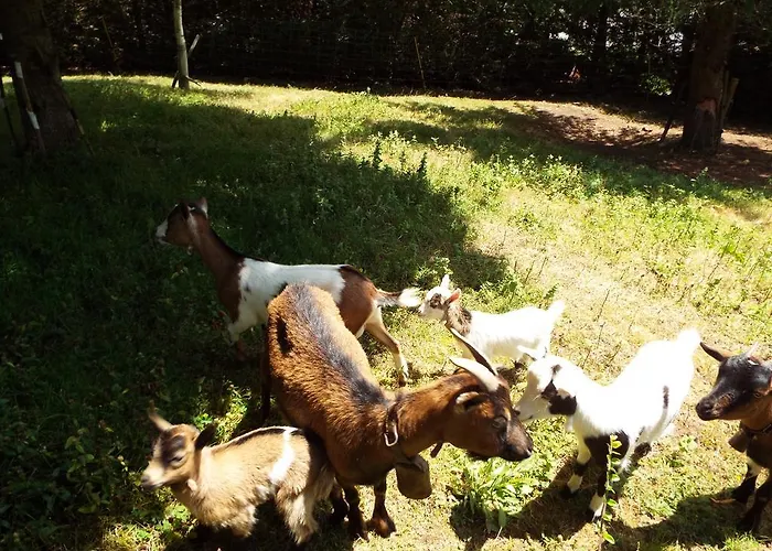 La Riguera De Ucieda